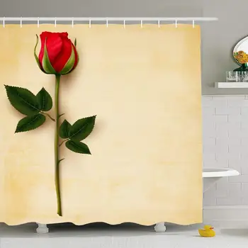 Shower Curtain Set with Hooks 66x72 Plant Old Leaf Object On Happy Valentines Petal Beauty Day Single Red Green Retro Vintage
Shower Curtain Set with Hooks 66x72 Plant Old Leaf Object On Happy Valentines Petal Beauty Day Single Red Green Retro Vintage