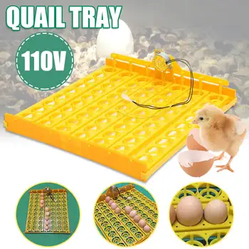 63-Egg 110V Automatic Turner Chicken Quail Bird Eggs Poultry Tray Incubator Hatching Pigeons Temperature Control NEW
63-Egg 110V Automatic Turner Chicken Quail Bird Eggs Poultry Tray Incubator Hatching Pigeons Temperature Control NEW