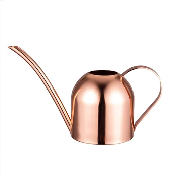 33Oz/1000Ml Small Stainless Steel Watering Can Indoor Outdoor Metal Watering Pot with Long Spout for House Plants and Kids-Rose
33Oz/1000Ml Small Stainless Steel Watering Can Indoor Outdoor Metal Watering Pot with Long Spout for House Plants and Kids-Rose