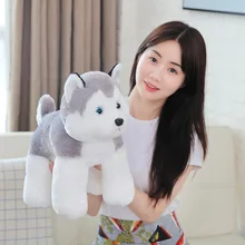 22cm Cute Husky Furry Toy Dog Wholesale Hold Pillow Doll Simulation White and Gray Dog Mascots Dolls Stuffed Animals 
22cm Cute Husky Furry Toy Dog Wholesale Hold Pillow Doll Simulation White and Gray Dog Mascots Dolls Stuffed Animals