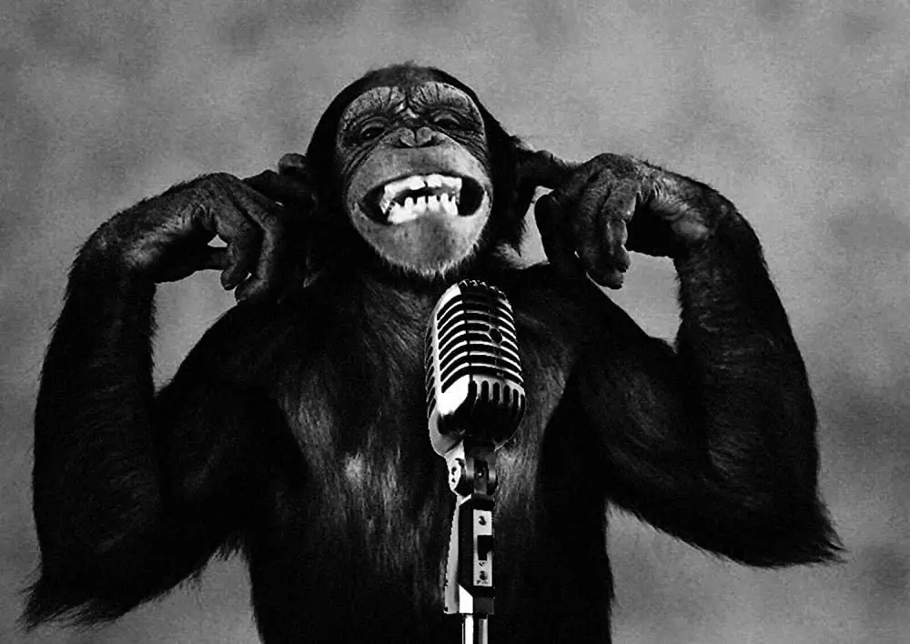 LAOJI DIBIOUR Singing Monkey Funny Decor Vintage Tin Metal Sign Pub Club Cafe Bar Home Wall Art Decoration Poster Retro
LAOJI DIBIOUR Singing Monkey Funny Decor Vintage Tin Metal Sign Pub Club Cafe Bar Home Wall Art Decoration Poster Retro