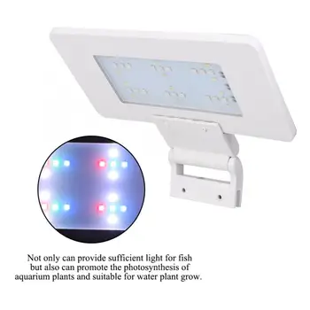 Aquarium LED Lighting Landscaping Light Fish Aquarium Water Plants Grow Lighting Lamp CN Plug 100-240V
Aquarium LED Lighting Landscaping Light Fish Aquarium Water Plants Grow Lighting Lamp CN Plug 100-240V