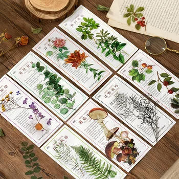 VanYi 8 Designs 40Pcs/lot Monet Garden Deco PET Diary Stationery Stickers Decorative Scrapbooking Planner Bullet Journal Doodlin
VanYi 8 Designs 40Pcs/lot Monet Garden Deco PET Diary Stationery Stickers Decorative Scrapbooking Planner Bullet Journal Doodlin