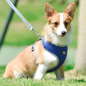 Pet Accessories Reflective Safety Pet Dog Harness And Leash Set For Small Medium Dogs Cat Harnesses Vest Puppy Chest Strap 2020
Pet Accessories Reflective Safety Pet Dog Harness And Leash Set For Small Medium Dogs Cat Harnesses Vest Puppy Chest Strap 2020