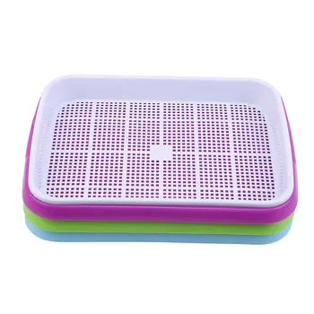Plastic Nursery Pots Seed Sprouter Tray Resin Soil-Free Big Capacity Wheatgrass Grower Seedling Tray Sprout Plate Hydroponic
Plastic Nursery Pots Seed Sprouter Tray Resin Soil-Free Big Capacity Wheatgrass Grower Seedling Tray Sprout Plate Hydroponic