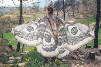 Printed Butterfly Cape Cape Beach Towel Yoga Mat Wrap Skirt Tapestry Wall Hanging Art Tapestry Craft
Printed Butterfly Cape Cape Beach Towel Yoga Mat Wrap Skirt Tapestry Wall Hanging Art Tapestry Craft