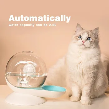 Pet Bowls Automatic Drinker Not Wet Mouth Food Bowl Dog Pot Cat Ears Bowl Supplies Feeding Dishes Pet snail automatic waterer 
Pet Bowls Automatic Drinker Not Wet Mouth Food Bowl Dog Pot Cat Ears Bowl Supplies Feeding Dishes Pet snail automatic waterer