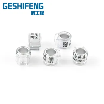 gsf pigeon leg bands rings with loft name serial number
gsf pigeon leg bands rings with loft name serial number