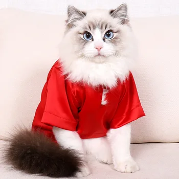 Cat Summer Dress Colorful Cool Cat T-shirt Thin Section Non-stick Wool Silk Japanese Style Clothing Colorful Cat Clothes
Cat Summer Dress Colorful Cool Cat T-shirt Thin Section Non-stick Wool Silk Japanese Style Clothing Colorful Cat Clothes
