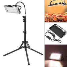 200W LED Grow Light Full Spectrum Phyto Grow Lamp with Adjustable Tripod Stand for Indoor Plants Growth
200W LED Grow Light Full Spectrum Phyto Grow Lamp with Adjustable Tripod Stand for Indoor Plants Growth