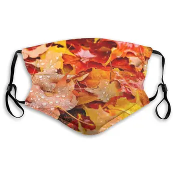 Autumn Maple Leaves Masks With filter Washable & Reusable Anti Dust Breathable Mask With Adjustable Ear Loops
Autumn Maple Leaves Masks With filter Washable & Reusable Anti Dust Breathable Mask With Adjustable Ear Loops