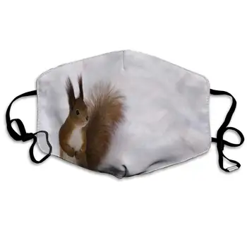 Dustproof Washable Reusable Snow Squirrels Cute Animals Mouth Cover Mask Protective Warm Windproof Mask
Dustproof Washable Reusable Snow Squirrels Cute Animals Mouth Cover Mask Protective Warm Windproof Mask