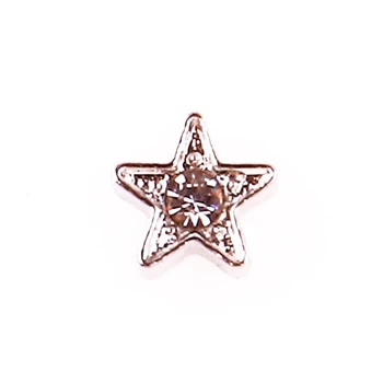F776 Five-pointed star with crystal floating charms for living memory glass floating locket charms DIY jewelry 20pcs/lot
F776 Five-pointed star with crystal floating charms for living memory glass floating locket charms DIY jewelry 20pcs/lot