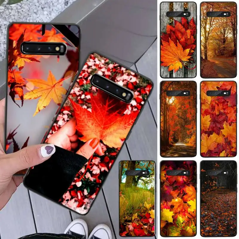 LJHYDFCNB Autumn leaves Phone Case For Samsung S8 S8 Plus S9 S9 Plus S10 S10 plus S10E lite S10-5G S20 UITRA plus
LJHYDFCNB Autumn leaves Phone Case For Samsung S8 S8 Plus S9 S9 Plus S10 S10 plus S10E lite S10-5G S20 UITRA plus