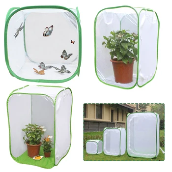 Insect Cage Foldable Butterfly Habitat Mesh Transparent Surface Portable Zipper Seedling Incubator Breeding Habitat Net Drop
Insect Cage Foldable Butterfly Habitat Mesh Transparent Surface Portable Zipper Seedling Incubator Breeding Habitat Net Drop