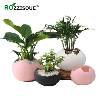 Creative Eggshell Ceramic Flowerpot Simple Succulent Plant Pot Container Planters Bonsai Pots Garden Home Desktop Decoration
Creative Eggshell Ceramic Flowerpot Simple Succulent Plant Pot Container Planters Bonsai Pots Garden Home Desktop Decoration