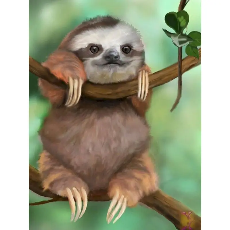Paint By Number sloth Animal HandPainted DIY Gift Kit Drawing On Canvas Oil Painting Picture Wall Art Home Decoration
Paint By Number sloth Animal HandPainted DIY Gift Kit Drawing On Canvas Oil Painting Picture Wall Art Home Decoration