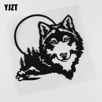 YJZT 17CMX17.1CM Wolf Pack Hunting Beast Dog Moon Hunter Vinyl Car Sticker 13C-0098
YJZT 17CMX17.1CM Wolf Pack Hunting Beast Dog Moon Hunter Vinyl Car Sticker 13C-0098