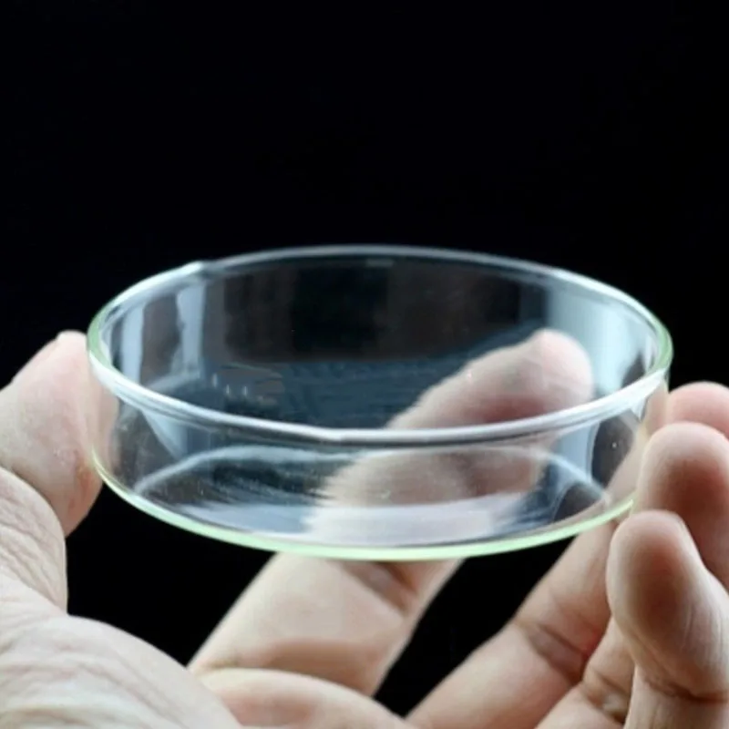 Transparent Aquarium Fish Tank Shrimp Food Feeding Circle Glass Feeder Floating Bottom Feeder Fish Shrimp Accessories
Transparent Aquarium Fish Tank Shrimp Food Feeding Circle Glass Feeder Floating Bottom Feeder Fish Shrimp Accessories