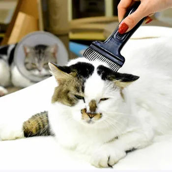 Pet Cats Dogs Remove Fleas Dense Tooth Shell Rake Comb Soft Fashion Convenient Practical Dog grooming Accessories
Pet Cats Dogs Remove Fleas Dense Tooth Shell Rake Comb Soft Fashion Convenient Practical Dog grooming Accessories