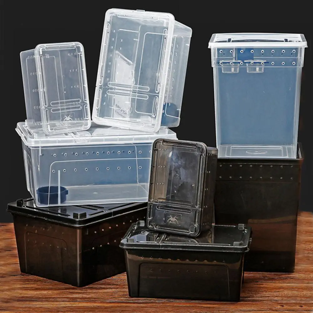 Reptile box breeding box breeding box Guardian eyelash angle spider frog insect turtle player snake anti-escape breeding box
Reptile box breeding box breeding box Guardian eyelash angle spider frog insect turtle player snake anti-escape breeding box
