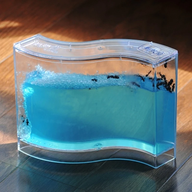 Ant House Educational Pet House Live Ant Habitat Children Colorful Small Ant Farm 73 * 32 * 78mm Pet Supplies Ant Kids
Ant House Educational Pet House Live Ant Habitat Children Colorful Small Ant Farm 73 * 32 * 78mm Pet Supplies Ant Kids