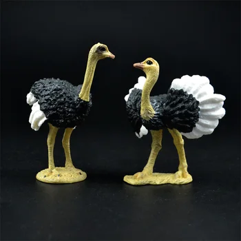 New Arrival wild life zoo animal model Common Ostrich Figurine figures kids educational toys children gift new arrival 2017 
New Arrival wild life zoo animal model Common Ostrich Figurine figures kids educational toys children gift new arrival 2017