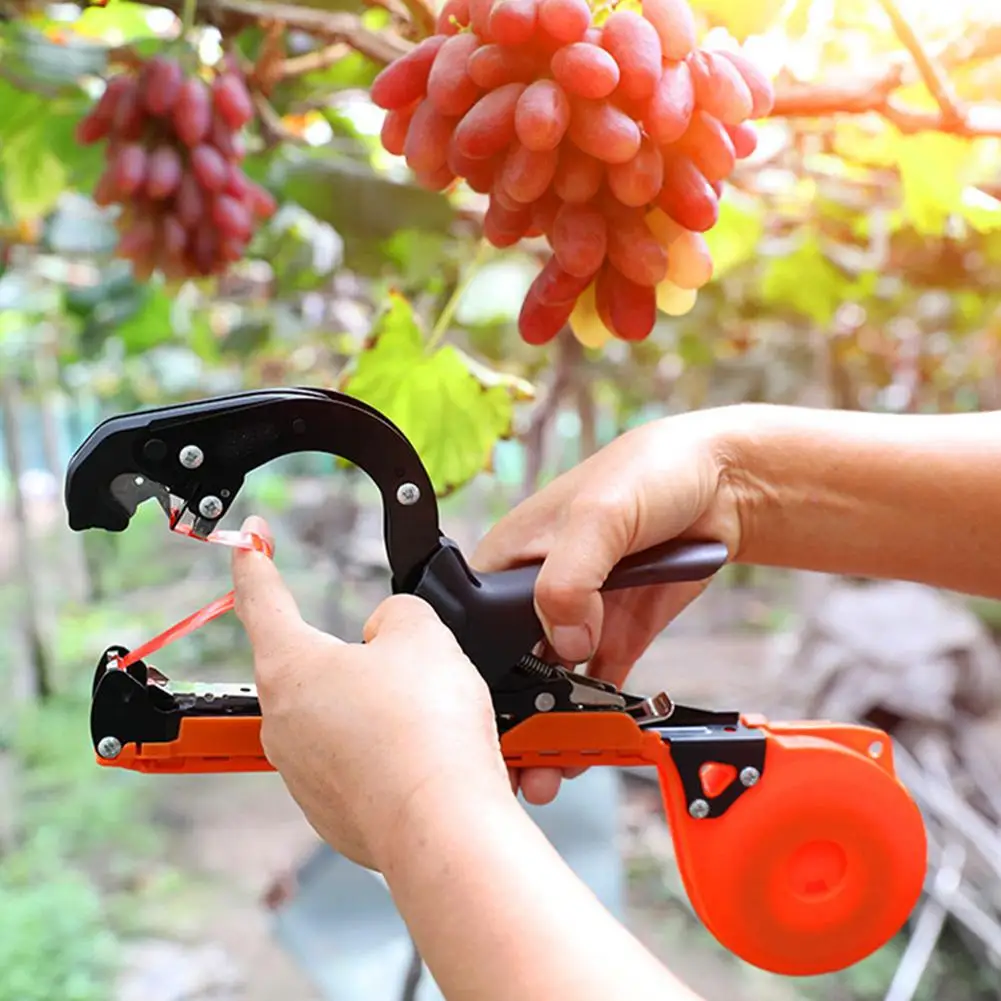 HobbyLane Stainless Steel Branch Tying Machine for Tomatoes Cucumbers Grape Stem Grape Tying Tomato Vine Machine Binding Device
HobbyLane Stainless Steel Branch Tying Machine for Tomatoes Cucumbers Grape Stem Grape Tying Tomato Vine Machine Binding Device