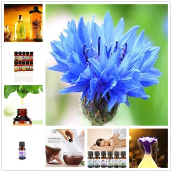 Cheap 10ML Pure Essential Oils Massage Humidifier Cyclamen Cinnamon Thyme Ylang Ylang Grapefruit Vanilla Oil Essential 1 Bottle
Cheap 10ML Pure Essential Oils Massage Humidifier Cyclamen Cinnamon Thyme Ylang Ylang Grapefruit Vanilla Oil Essential 1 Bottle