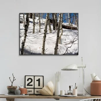 Landscape Poster Birch Trees Photo Home Decoration Wall Art Canvas Print No Frame
Landscape Poster Birch Trees Photo Home Decoration Wall Art Canvas Print No Frame