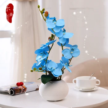Modern Minimalist Ceramic Vase+Butterfly Orchid Artificial Flowers Crafts Phalaenopsis Decoration Coffee Table Floral Ornament
Modern Minimalist Ceramic Vase+Butterfly Orchid Artificial Flowers Crafts Phalaenopsis Decoration Coffee Table Floral Ornament