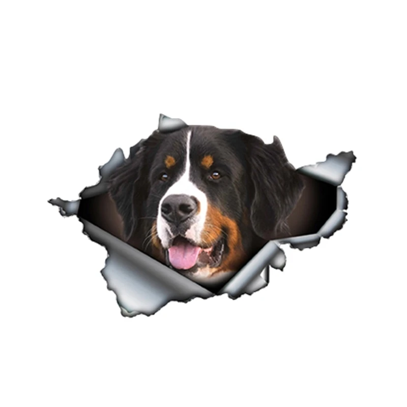13cm X 9cm Bernese Mountain Dog Car Sticker Torn Metal Decal Reflective Stickers Waterproof Car Styling Pet Decals Accessories
13cm X 9cm Bernese Mountain Dog Car Sticker Torn Metal Decal Reflective Stickers Waterproof Car Styling Pet Decals Accessories