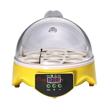 7 Egg sIncubator Brood Machine Chicken Duck Egg Hatcher Electronic Automatic Incubator Brooder Tools Children's Educational Gift
7 Egg sIncubator Brood Machine Chicken Duck Egg Hatcher Electronic Automatic Incubator Brooder Tools Children's Educational Gift