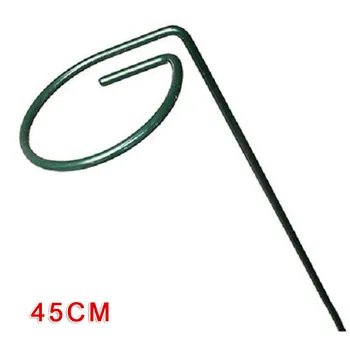 4Pcs Plant Support Stakes Garden Flower Stand Holder Stake For Tomatoes Lily Support Ring Single Stem Plant Support Cage
4Pcs Plant Support Stakes Garden Flower Stand Holder Stake For Tomatoes Lily Support Ring Single Stem Plant Support Cage