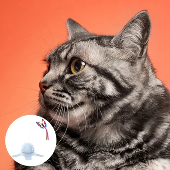 1Pc Electric Cat Teasing Stick Simulated Butterfly Cat Teaser No Battery Blue 
1Pc Electric Cat Teasing Stick Simulated Butterfly Cat Teaser No Battery Blue