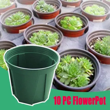 10PC Seed Flower Pots Starting Pot Flower Plant Spend free time renovation Leisure Container for Succulents Seedlings FlowerPot
10PC Seed Flower Pots Starting Pot Flower Plant Spend free time renovation Leisure Container for Succulents Seedlings FlowerPot
