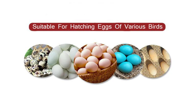 Newest Digital Egg Hatching Incubator With Temperature Alarm/Humidity Alarm For Birds 5 Newest Digital Egg Hatching Incubator With Temperature Alarm/Humidity Alarm For Birds 5