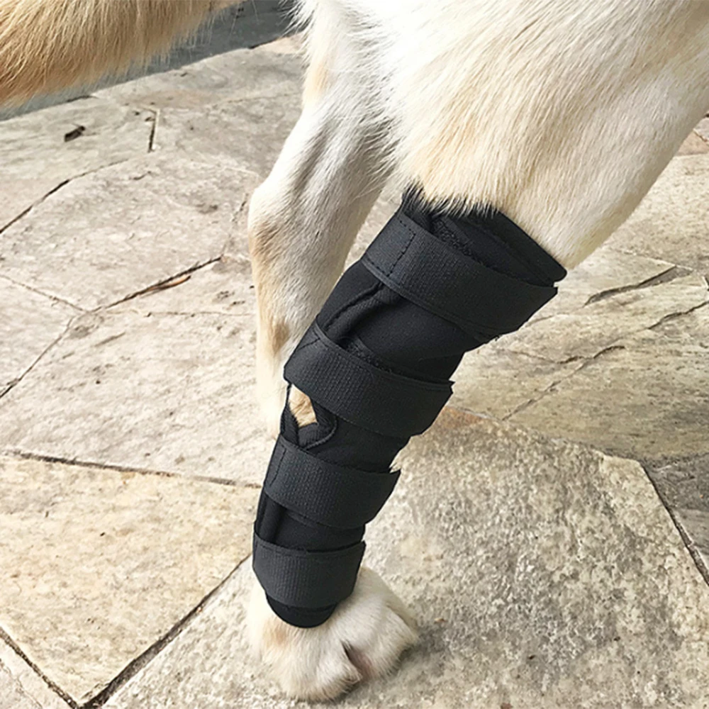 Adjustable Pet Dog Leg Braces Dog Hock Brace Pet Supportive Rear Dog Compression Leg Joint Wrap Protects Wounds and Injury
Adjustable Pet Dog Leg Braces Dog Hock Brace Pet Supportive Rear Dog Compression Leg Joint Wrap Protects Wounds and Injury
