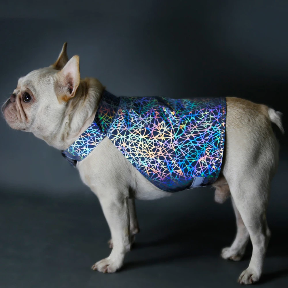1pcs Pet Clothes Cool Reflective Dog Vest Night Tech Sense Dog Reflective Vest Colorful Nest Pet Jacket Clothes Dropshipping
1pcs Pet Clothes Cool Reflective Dog Vest Night Tech Sense Dog Reflective Vest Colorful Nest Pet Jacket Clothes Dropshipping