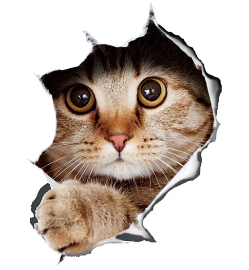 Aliauto 3D Personality Cute Kitty Car Sticker Door Door Rear Waterproof Cover Scratch Simulation Car Sticker
Aliauto 3D Personality Cute Kitty Car Sticker Door Door Rear Waterproof Cover Scratch Simulation Car Sticker