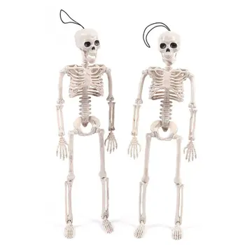 Full Body Hanging Adult Human Skeleton Halloween Props Scientific Bones Models Realistic Posable Skull Party Building Decor
Full Body Hanging Adult Human Skeleton Halloween Props Scientific Bones Models Realistic Posable Skull Party Building Decor