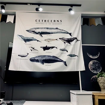 INS Nordic Art Decorative Cloth Hanging Fabric Sofa Background Cloth Wall Decoration Whale Bedroom Creative Rental House Artifac
INS Nordic Art Decorative Cloth Hanging Fabric Sofa Background Cloth Wall Decoration Whale Bedroom Creative Rental House Artifac