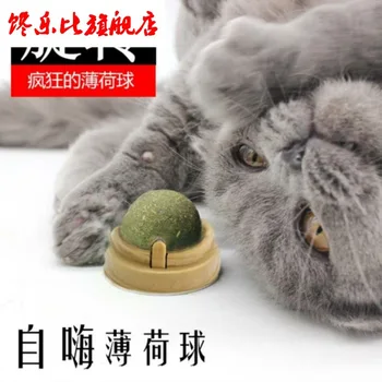 In Addition to Bad Breath Calcium Supplement Self Hi Rotating Kittens Thin Bearing Pedigree Linglong Mint Ball Grass Seed Cat bu
In Addition to Bad Breath Calcium Supplement Self Hi Rotating Kittens Thin Bearing Pedigree Linglong Mint Ball Grass Seed Cat bu