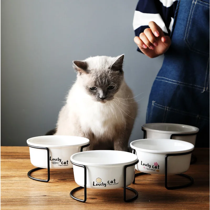 Cute Cat Bowl Dog Bowls with Rack High Foot Protection Spine Cat Food Bowl Dog Feeder Oblique Ceramics Bowls Pet Supplies 23
Cute Cat Bowl Dog Bowls with Rack High Foot Protection Spine Cat Food Bowl Dog Feeder Oblique Ceramics Bowls Pet Supplies 23