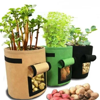 Planting Bag Potato Grow Container Bag DIY Planter PE Cloth Planting Vegetable Gardening Vegetable Pot Planting Grow Bag
Planting Bag Potato Grow Container Bag DIY Planter PE Cloth Planting Vegetable Gardening Vegetable Pot Planting Grow Bag