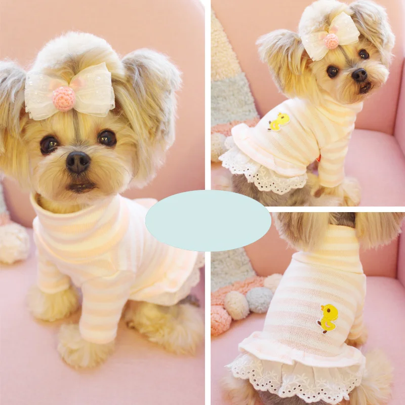 Spring and Autumn New Ducklings Pet Dress Dog Yorkshire Teddy Cat Clothes Stripe Wool Lace Dog Sweater Pet Clothes 13
Spring and Autumn New Ducklings Pet Dress Dog Yorkshire Teddy Cat Clothes Stripe Wool Lace Dog Sweater Pet Clothes 13