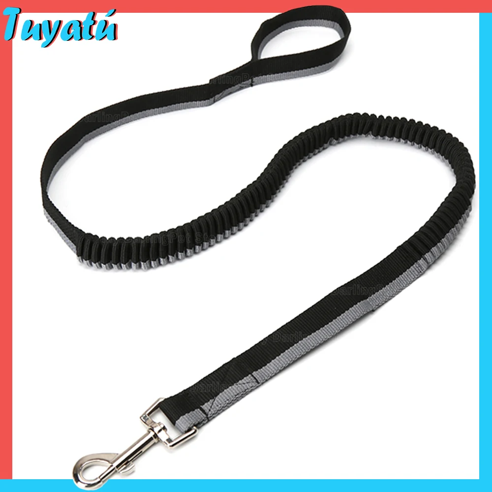 Large Small Retractable Dog Leash Elasticity Ployester Elastic Pet Dog Leash for Dogs Outdoor Running Dog Accessory Harness
Large Small Retractable Dog Leash Elasticity Ployester Elastic Pet Dog Leash for Dogs Outdoor Running Dog Accessory Harness