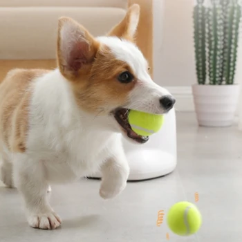 1PCS Tennis Ball Dog Toys Interactive Chewing Rattle Scratch Cat Dog Toys Cute Elastic Ball Fun Interesting Pet Accessories
1PCS Tennis Ball Dog Toys Interactive Chewing Rattle Scratch Cat Dog Toys Cute Elastic Ball Fun Interesting Pet Accessories