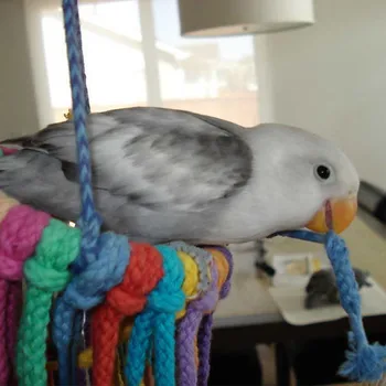 Chewing Bite Hanging Pet Bird Parrot Toy Cotton Rope Bridge String Toys Cage Swing Climb Chew Toys for Medium Parrot
Chewing Bite Hanging Pet Bird Parrot Toy Cotton Rope Bridge String Toys Cage Swing Climb Chew Toys for Medium Parrot