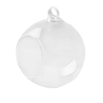 Simple Hanging Micro Landscape Ecological Bottle Succulent Glass Vase Crystal Transparent Round Shaped
Simple Hanging Micro Landscape Ecological Bottle Succulent Glass Vase Crystal Transparent Round Shaped
